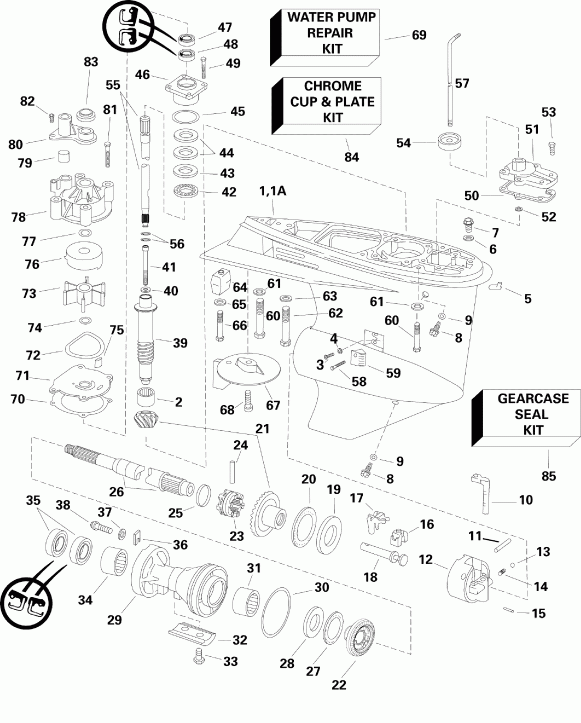 �������� ����� Evinrude E115DPLSEF  - arcase