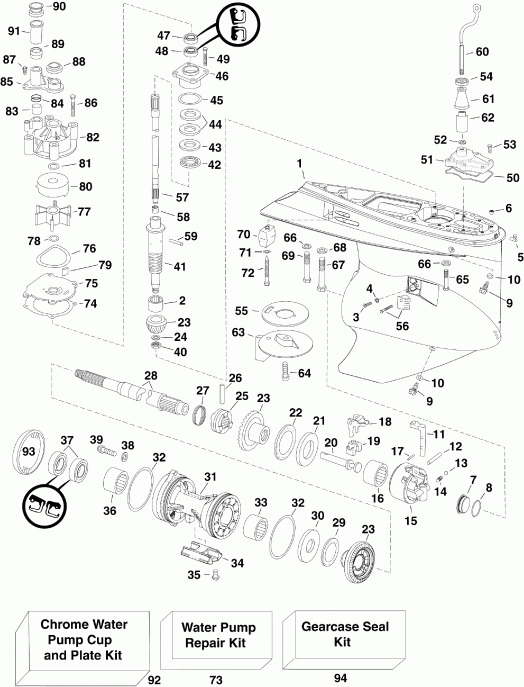 ��������� ��������� Evinrude E300DPZSEC  - arcase / arcase