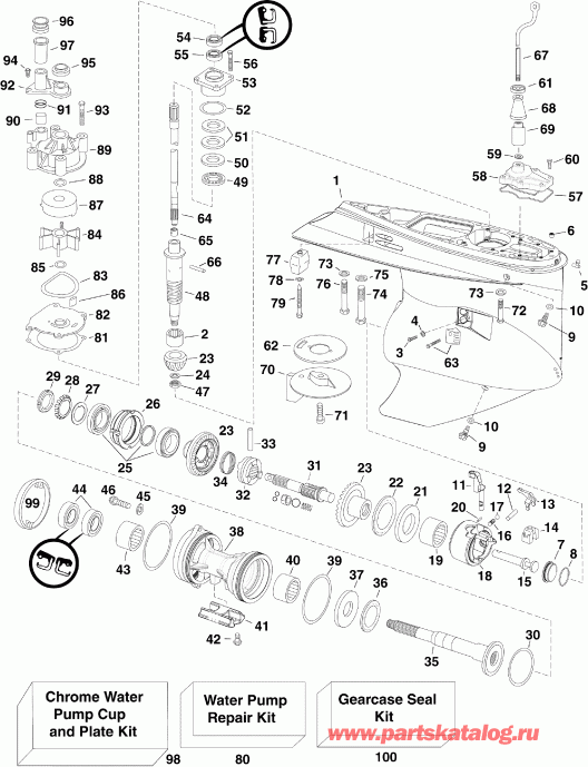 ��������� ��������� Evinrude DE250CXISS  - arcase / arcase