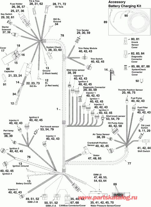  EVINRUDE DE300PZISF  - ectrical   - ectrical Harness