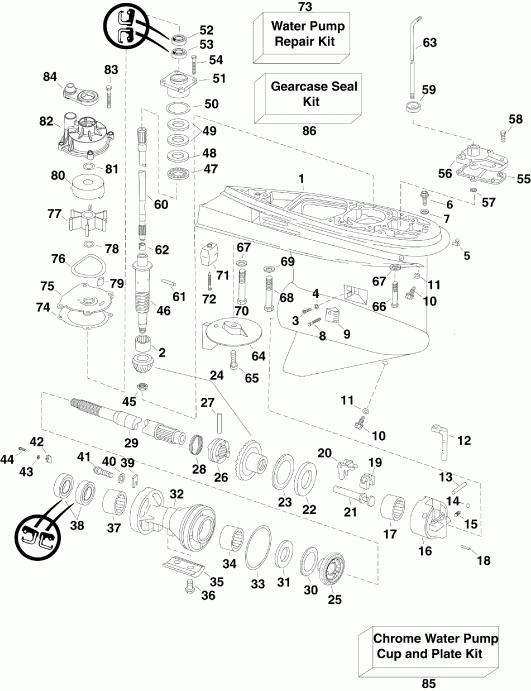   Evinrude E130DPXISF  - arcase - arcase