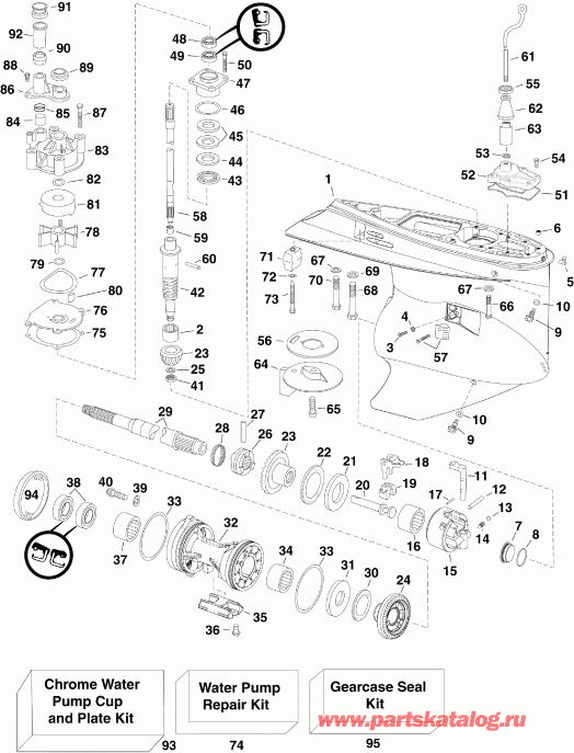  EVINRUDE E250DPZISF  - arcase
