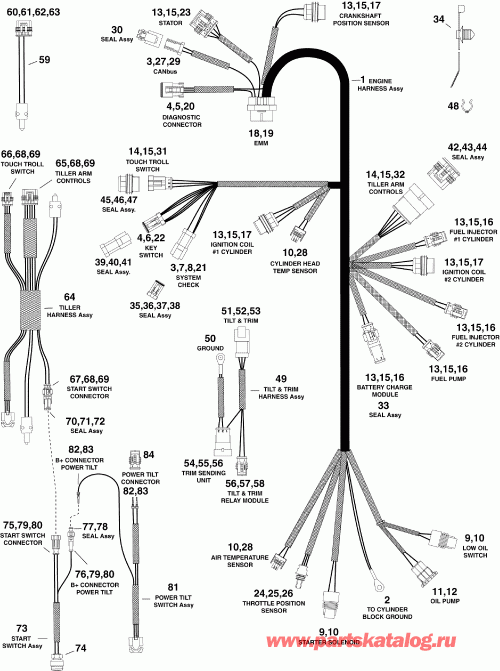  EVINRUDE E25DELISC  - ectrical  
