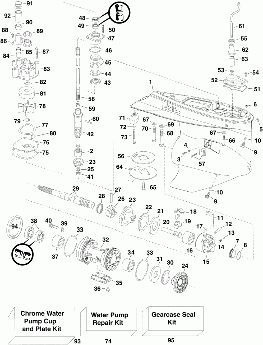 ����� Evinrude E300DPXISG  - arcase / arcase