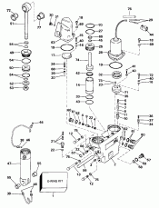    Hydraulic Assembly (Power Trim/tilt Hydraulic Assembly)