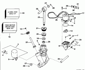    Hydraulic Assembly (Power Trim/tilt Hydraulic Assembly)