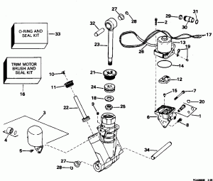    Hydraulic Assembly (Power Trim/tilt Hydraulic Assembly)