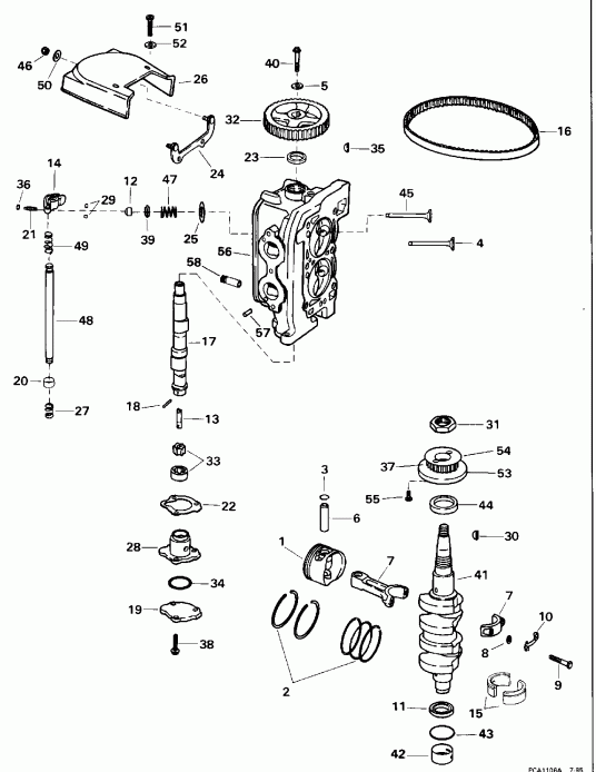 �������� ����� EVINRUDE E10FREDR 1996  - linder Head & �������� / linder Head & Crankshaft