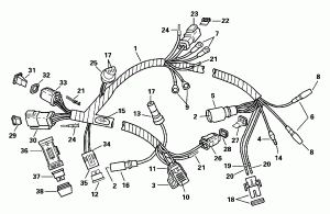 Motor   (Motor Harness)