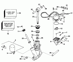    Hydraulic Assembly (Power Trim/tilt Hydraulic Assembly)