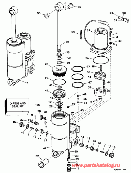   Evinrude E50JEDS 1996  - wer Trim/tilt - wer Trim / tilt