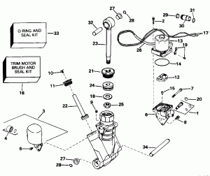    Hydraulic Assembly (Power Trim/tilt Hydraulic Assembly)