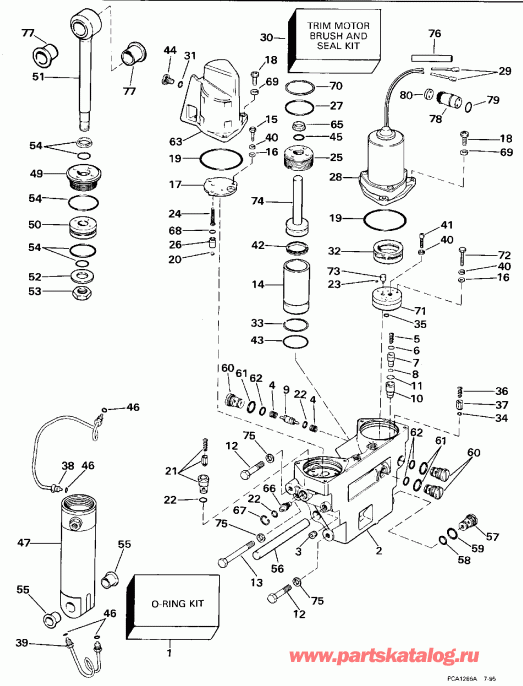 ��������� �������� ����� Evinrude SE100WMPLM 1996  - wer Trim/tilt Hydraulic Assembly