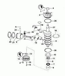  - All 55 Models, 40rw (Carburetor - All 55 Models, 40rw)