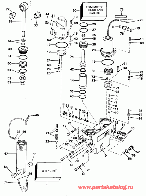  EVINRUDE XE112TSXEDR 1996  - wer Trim/tilt Hydraulic Assembly / wer Trim / tilt Hydraulic Assembly