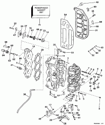  &   (Cylinder & Crankcase)