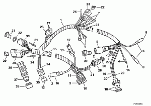Motor   (Motor Harness)