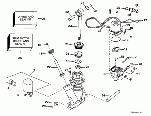    Hydraulic Assembly (Power Trim/tilt Hydraulic Assembly)