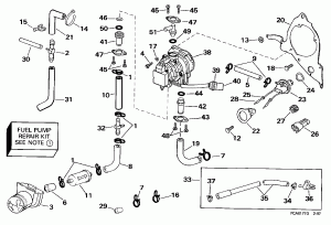   (Fuel Pump)