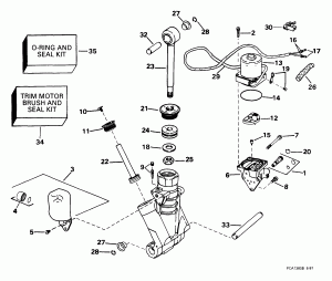   Hydraulic Assembly (Power Trim/tilt Hydraulic Assembly)