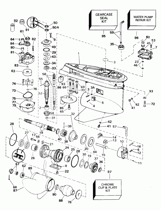   Evinrude E100WPXSSR Commercial, Elec. Start, TNT,  - arcase / arcase