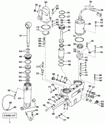    Hydraulic Assembly (Power Trim/tilt Hydraulic Assembly)