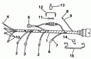  Assembly (Cable Assembly)