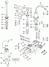    Hydraulic Assembly (Power Trim/tilt Hydraulic Assembly)