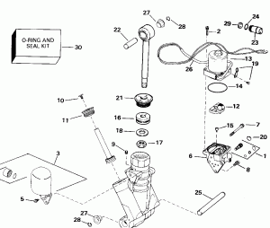    Hydraulic Assembly (Power Trim/tilt Hydraulic Assembly)