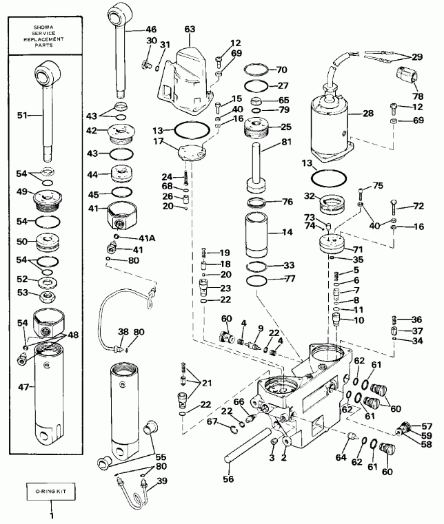   EVINRUDE E175TXCDR 1986  - wer Trim/tilt Hydraulic Assembly