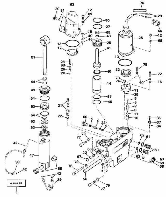   Evinrude E120TXCEM 1989  - wer Trim / tilt Hydraulic Assembly - wer Trim/tilt Hydraulic Assembly