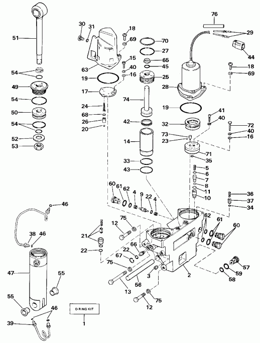    EVINRUDE TE60TLCEA 1989  - wer Trim/tilt Hydraulic Assembly / wer Trim / tilt Hydraulic Assembly
