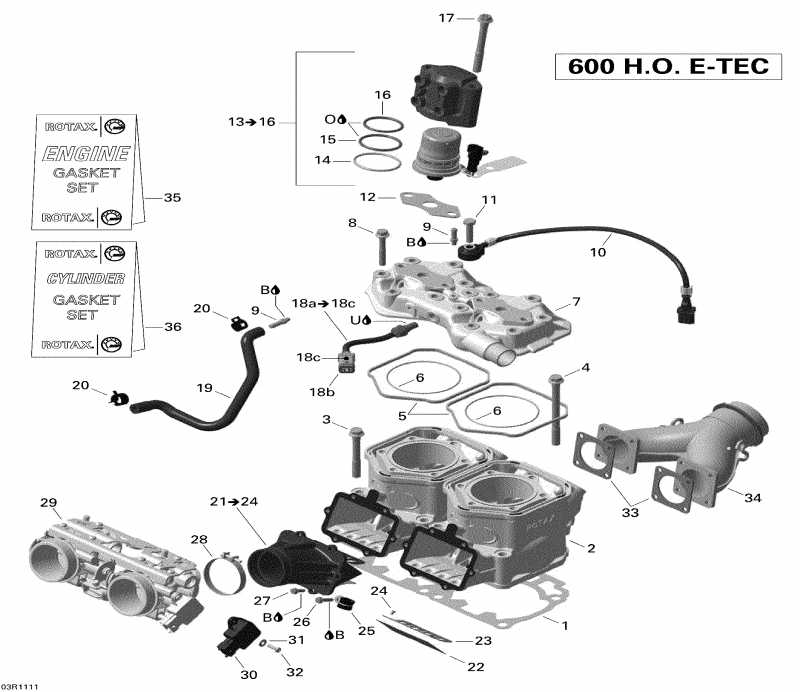  SkiDoo  Renegade Adrenaline 600HO ETEC, 2011 -   Injection System