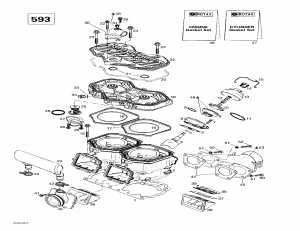 01- ,  ,   (593) (01- Cylinder, Exhaust Manifold, Reed Valve (593))