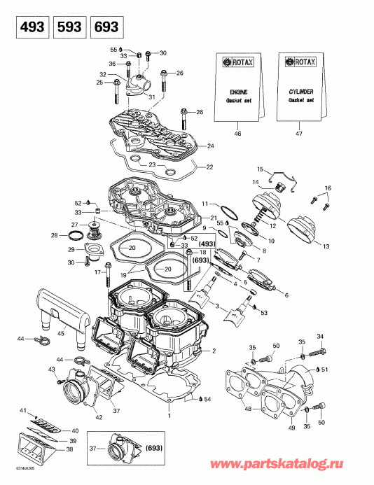  BRP  Grand Touring 500/600/700/800, 2002 - Cylinder, Exhaust Manifold, Reed Valve (493