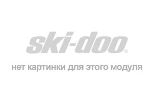 SkiDoo MX Z RENEGADE 600 HO SDI, 2008  - Ski-doo Publications
