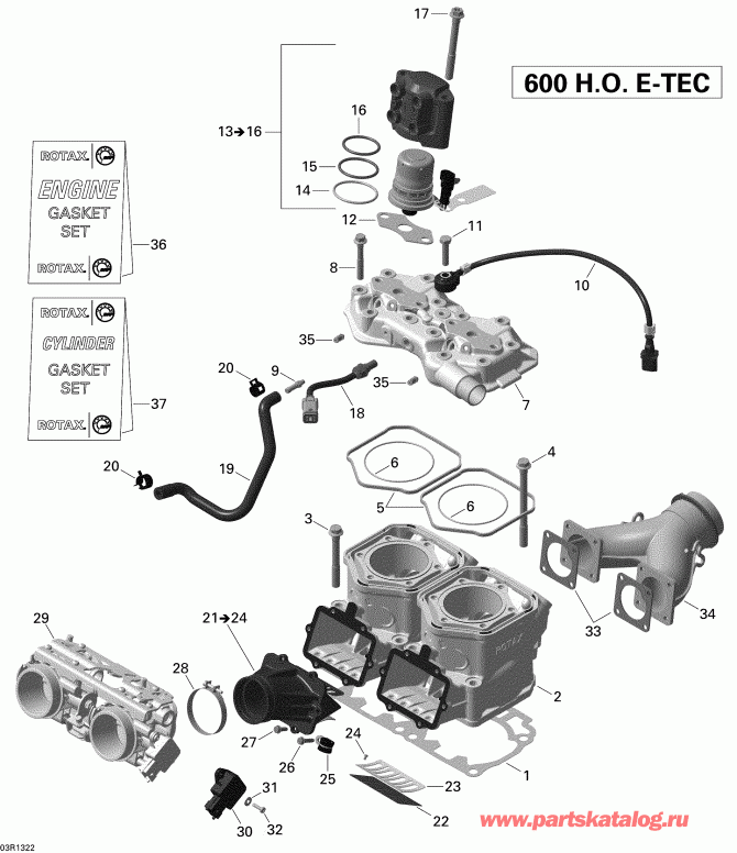 Skidoo RENEGADE BACK COUNTRY X 600HOE, 2013 - Cylinder And Injection System