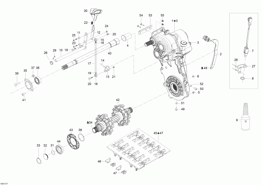  BRP SkiDoo  Skandic SWT 600 ACE (4-strokes) XU, 2013 - Drive System