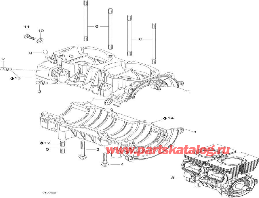 Snowmobile lynx  -  