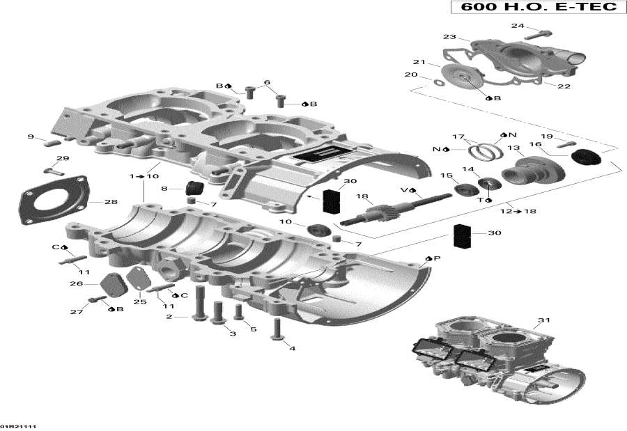 Snowmobile   - Crankcase And Water Pump /     