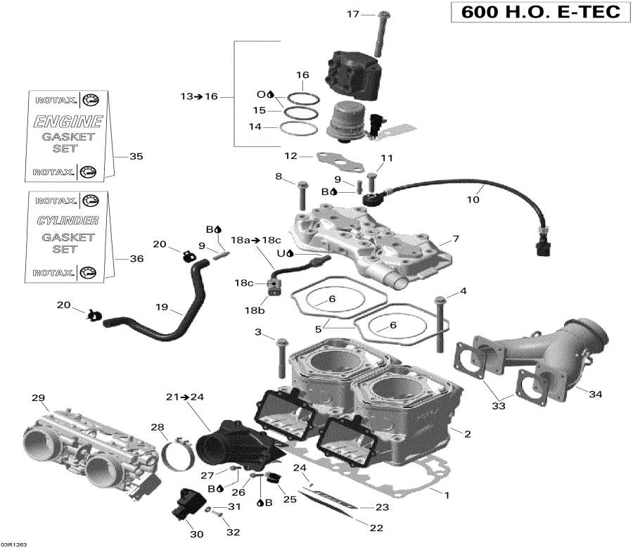 Snowmobile   - Cylinder And Injection System