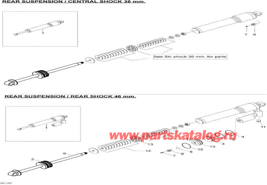 Snowmobiles Lynx  - Rear Shocks