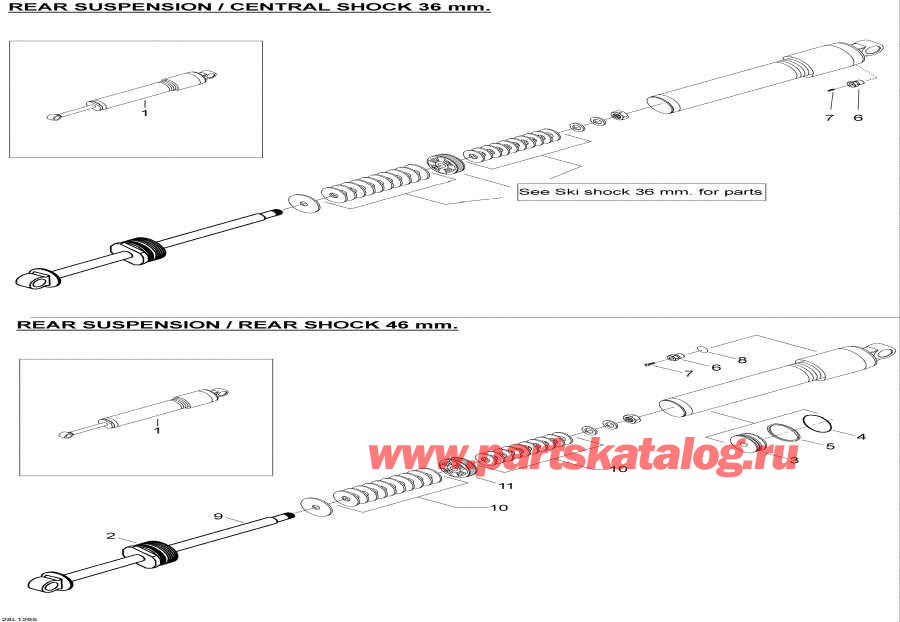  lynx  - Rear Shocks - Rear Shocks