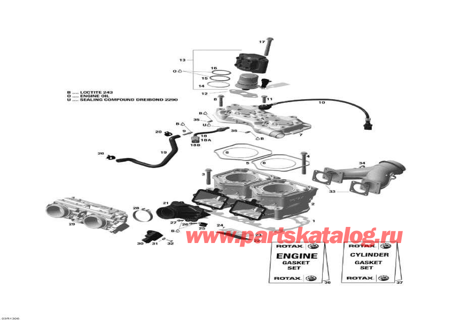 Snowmobiles   - Cylinder And Injection System,  Injection System