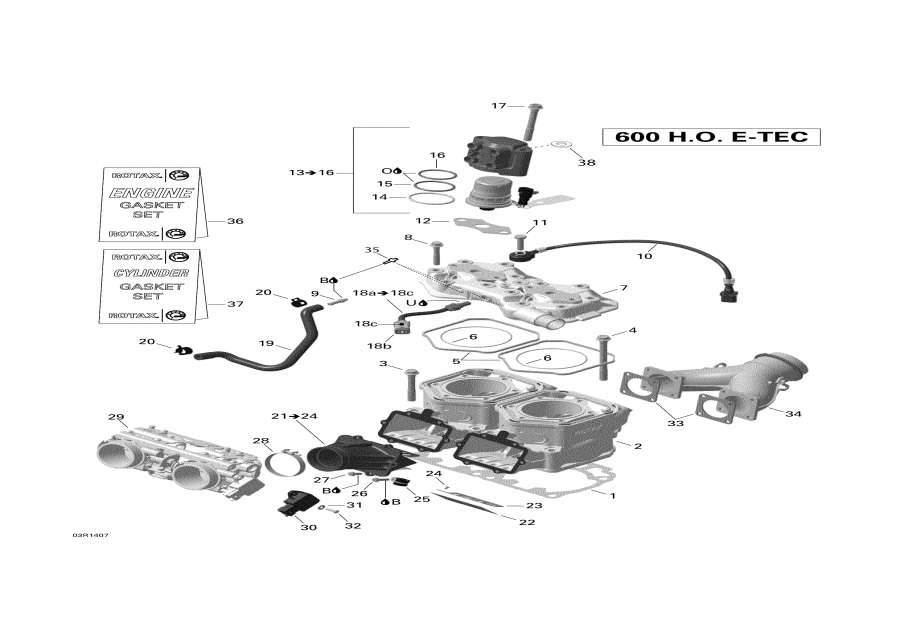 Snow mobile Lynx  - cylinder And Injection System