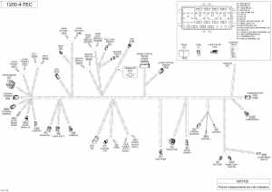 10-  -   - 1200 4-tec (10- Electrical Harness - 1200 4-tec)