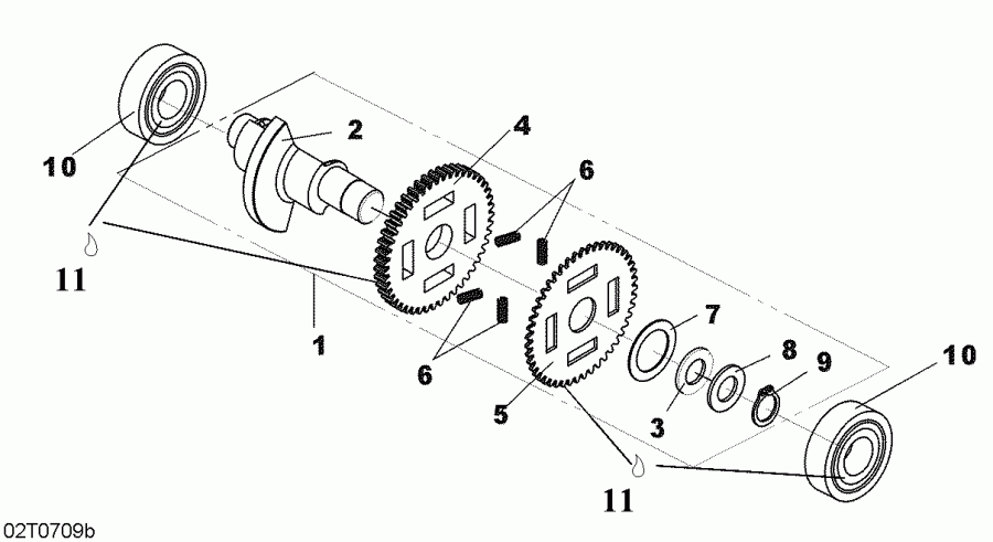   DS 250, CE, 2007 - Balance Shaft