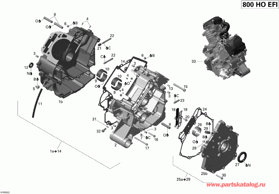 ����������  Renegade 800 X, 2008 - Crankcase