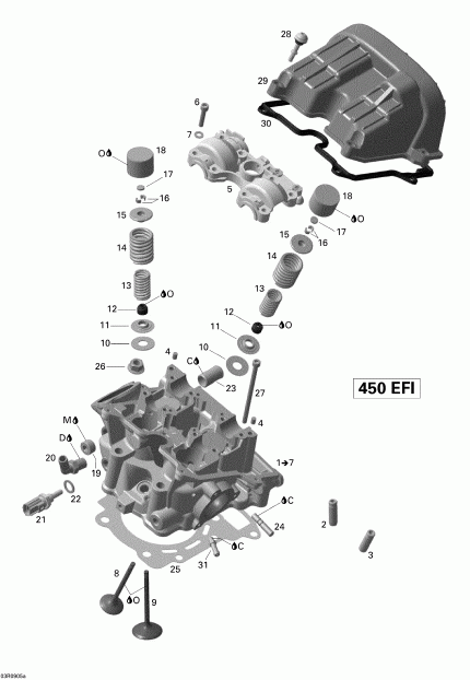   DS 450 EFI, 2009 - Cylinder Head