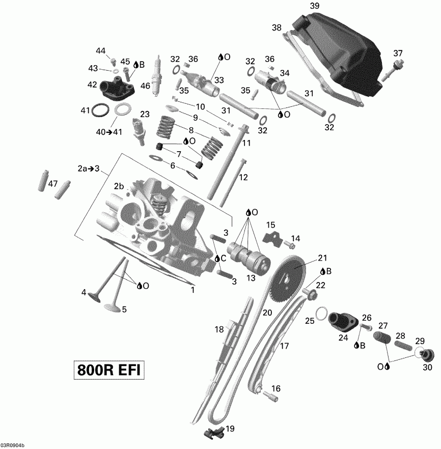   Outlander Max 800R EFI, 2009 -   , Rear